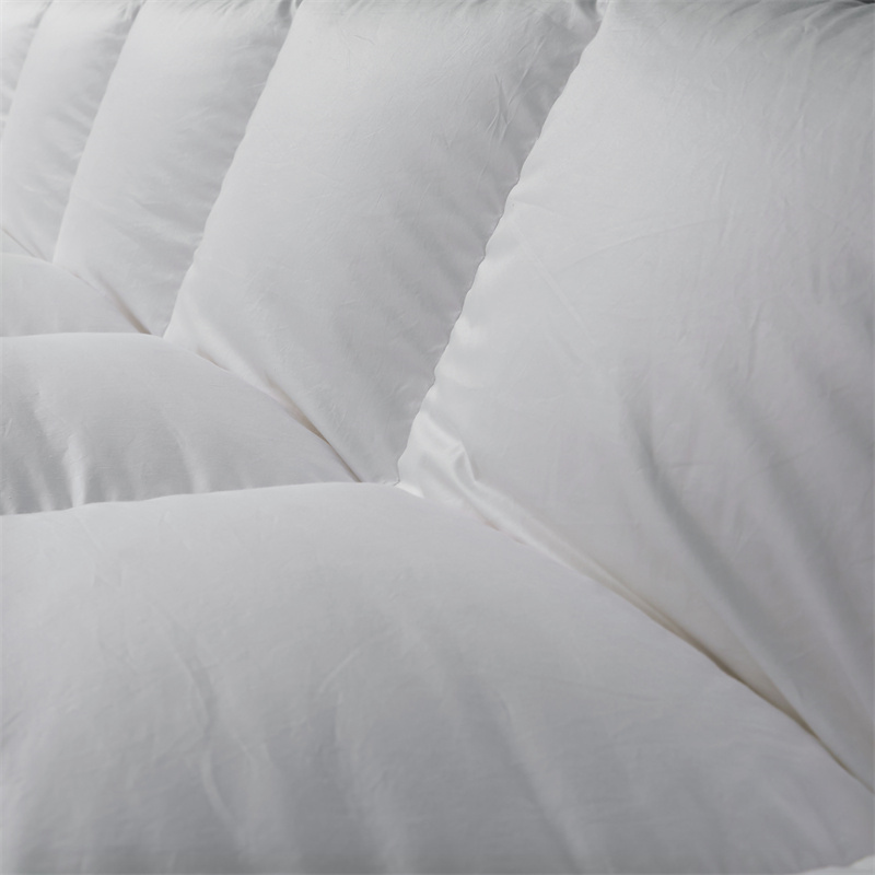 Couette légère et douce en duvet de plumes pour l'hiver Couette légère et douce en duvet de plumes pour l'hiver