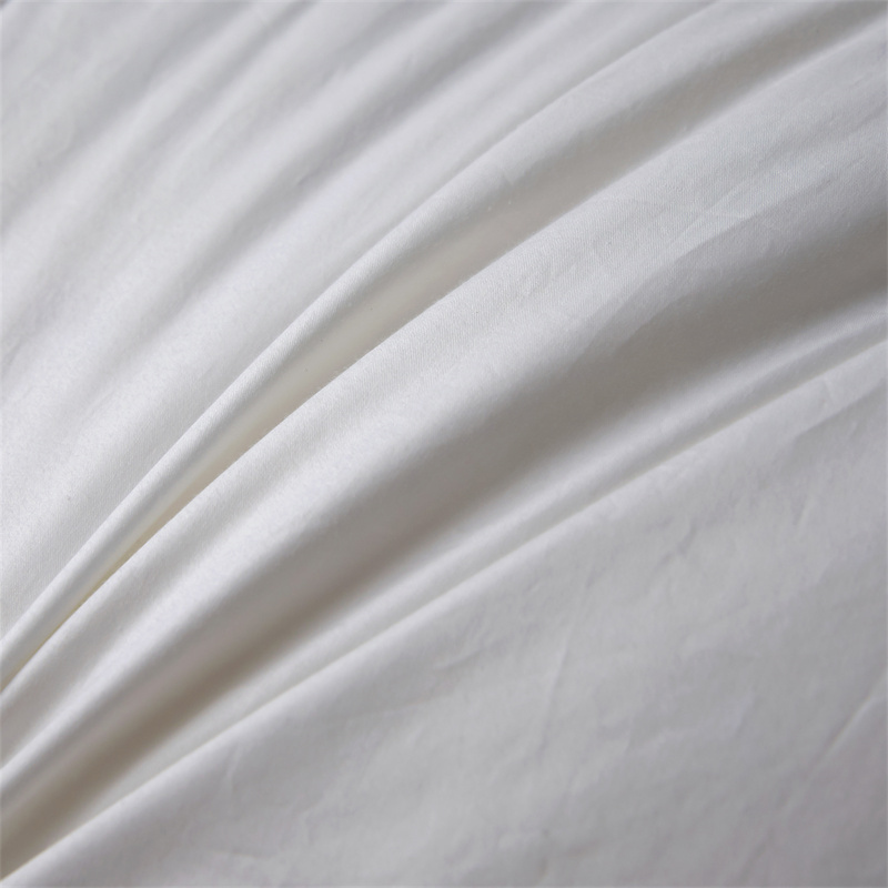 Couette légère et douce en duvet de plumes pour l'hiver Couette légère et douce en duvet de plumes pour l'hiver